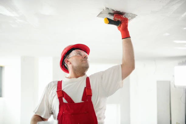 Bennettsville, SC Mold Removal Pros